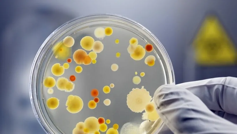 Tüm cilt sorunlarına tek çözüm! Pürüzsüz bir cildin sırrını veren “bakteri”