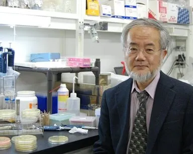 Nobel Tıp Ödülü'nü alan Yoshinori Ohsumi kimdir?