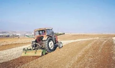 25 dönümlük meyve bahçesi