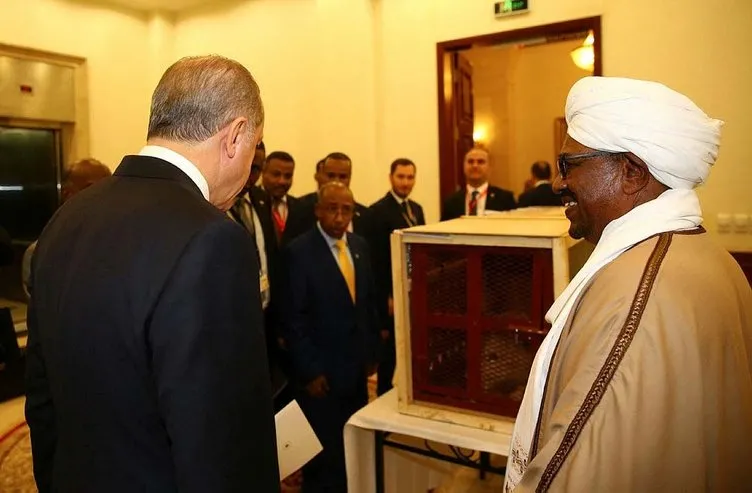 Sudan’da Cumhurbaşkanı Erdoğan’a hediye edilen 3 yavru aslan için hazırlıklar başladı