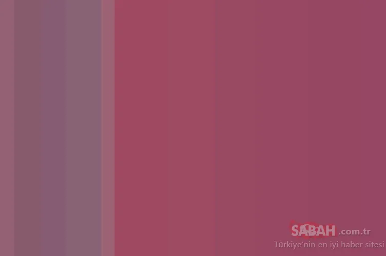 Sosyal medyayı sallayan optik illüzyon! Kimse doğru cevabı bilemiyor!