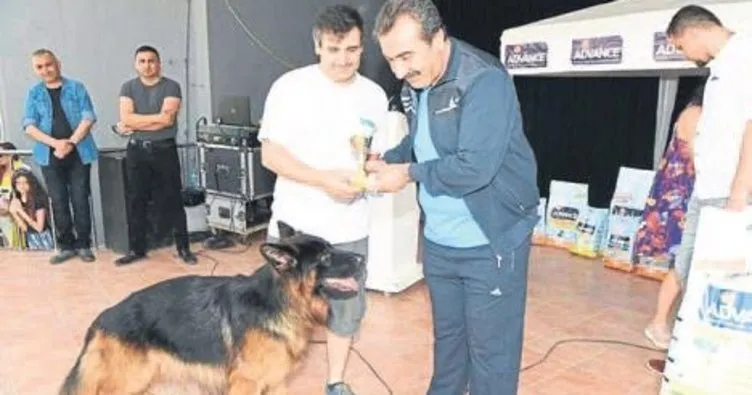 Çukurova’da köpeklerin güzellik yarışması
