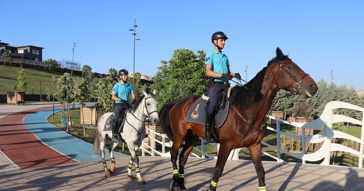 Atlı jandarma görevde