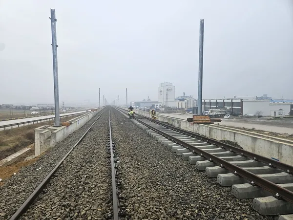 Proje Çalışmaları