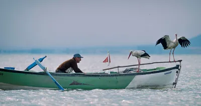 Adem Amca, Yaren leylek ile buluştu