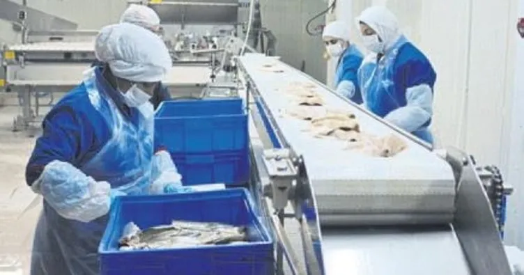 Rusya’ya 500 ton balık ihracatı
