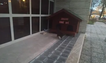 ‘Adalet’ adliyenin maskotu oldu