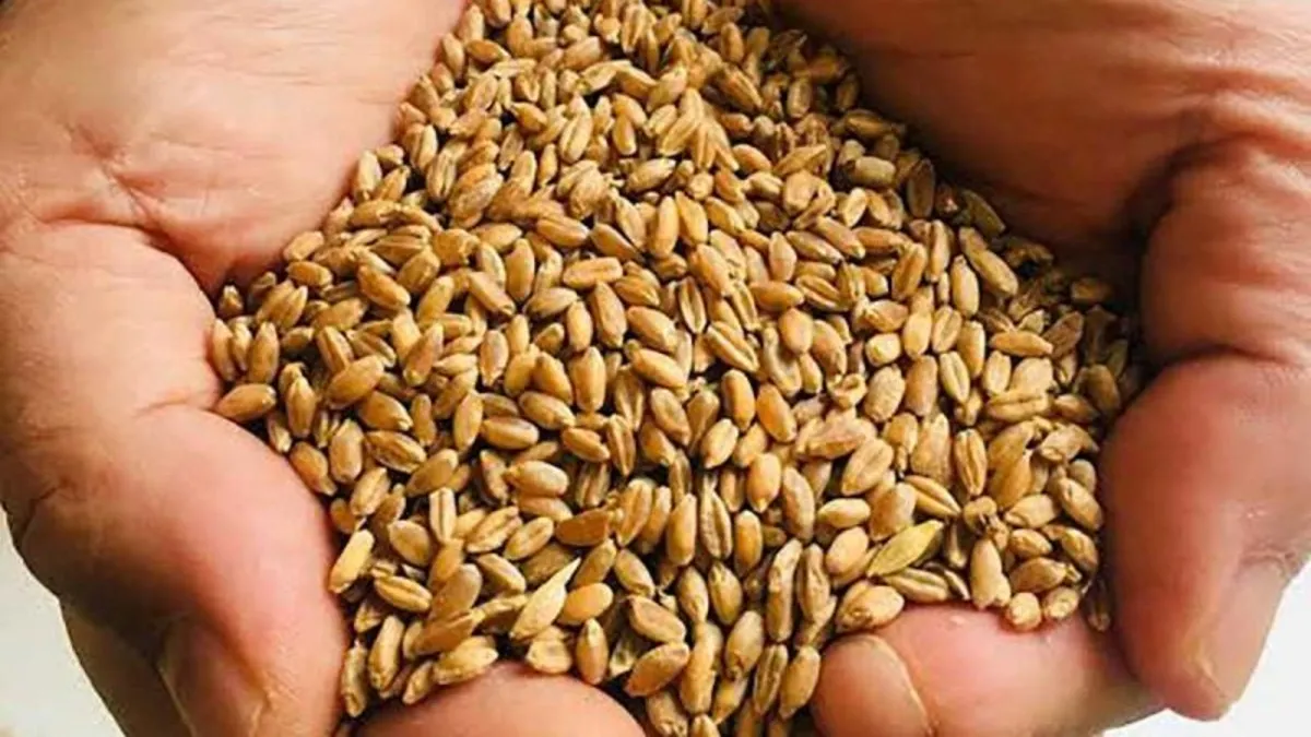 Sofraların yeni yıldızı olacak! Hem sağlıklı hem lezzetli Sofraların yeni yıldızı olacak! Hem sağlıklı hem lezzetli