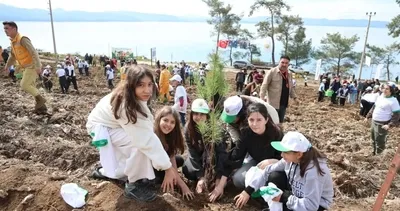 Yangının izleri siliniyor! Akyaka yeninden yeşeriyor #mugla