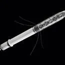 ABD, uzay uydusu Explorer 1’i fırlattı