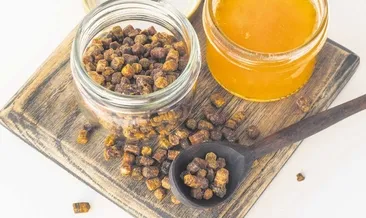 Tam bir virüs kalkanı