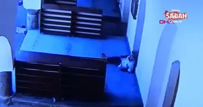 Gaziantep’te camide uyuyan kişinin parasının çalınma anı kamerada | Video