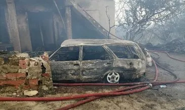 Ev yangınında hayvanlar telef oldu, 3 araç yandı