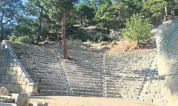 Ağaçlar tarihe sarıldı