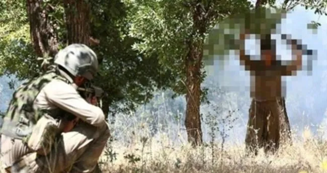 İkna edilen terörist Hakkari'de güvenlik güçlerine teslim oldu