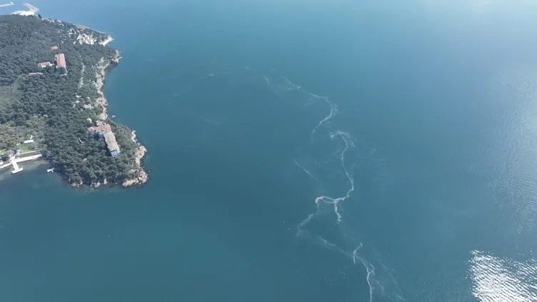 İstanbul’da endişelendiren görüntü: Marmara Denizi’nde ortaya çıktılar!