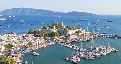 Bodrum girişinde köpekli kontrol! Tatil beldesi yaz moduna geçti