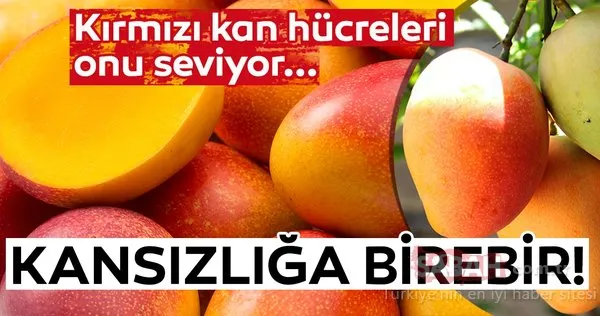 Kırmızı kan hücreleri bu besini çok seviyor! İşte kansızlığa derman olan mucize besin!