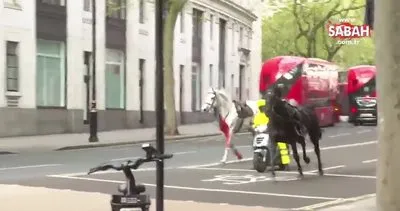 Süvari atları Londra’yı birbirine kattı! Yaralılar var | Video