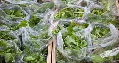 Tam bir süper besin sadece 2 ayda kanser riskini azaltıyor! Ömrü uzatan 7 besin sizi çok şaşırtacak!