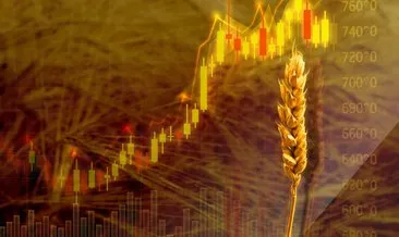 Buğday fiyatları ne kadar? Toprak Mahsulleri Ofisi 2022 Buğday - Arpa alım fiyatları kaç TL oldu? Başkan Erdoğan açıkladı