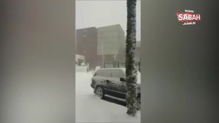 Dev yük gemisi kıyıya çarpmaktan son anda kurtuldu