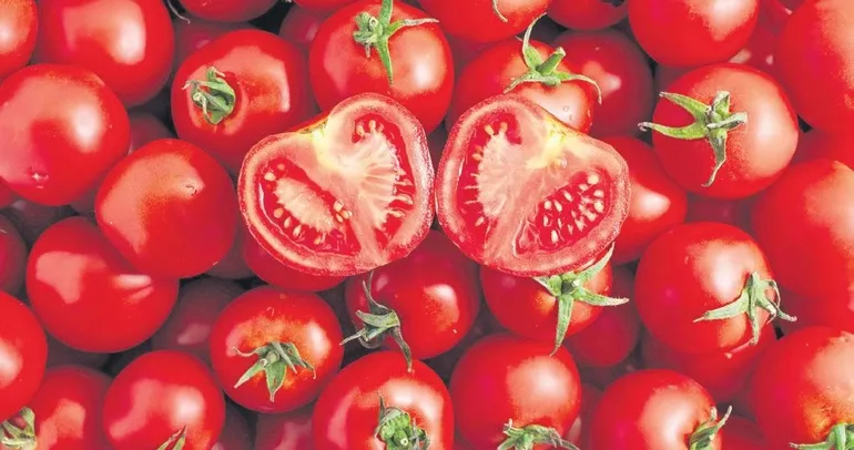 Kırmızı şifa: Likopen