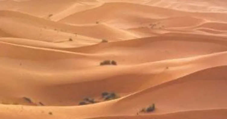 Nijer çölünde 439 göçmen kurtarıldı