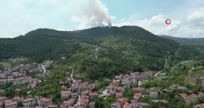 Zonguldak’ta orman yangını