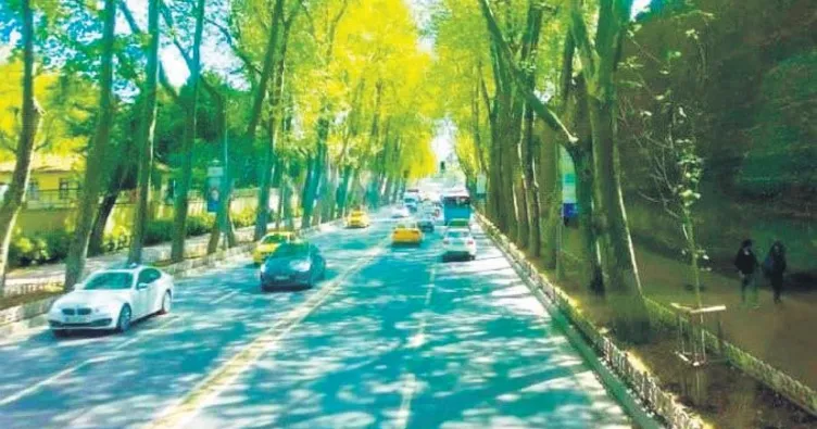 Kesim izni bile almadılar