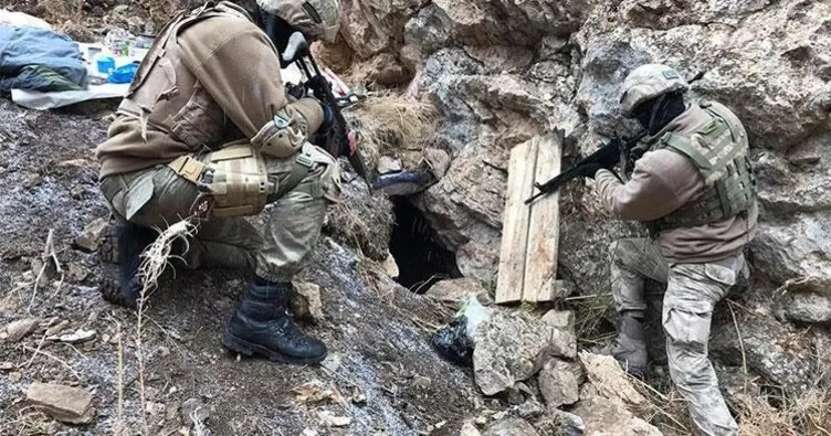 Van’da 316 terör operasyonu yapıldı