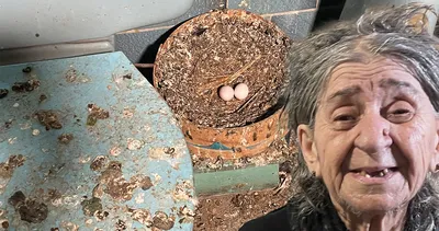 İlginç bir çöp ev vakası daha: Yaşlı kadının sözlerine inanamayacaksınız!