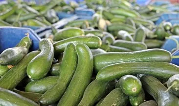 ruyada salatalik gormek ne anlama gelir haberleri son dakika ruyada salatalik gormek ne anlama gelir gelismeleri