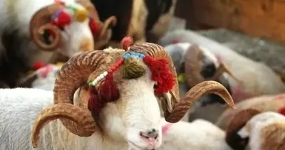 Kurban Bayramı ne zaman? Dini günler takvimiyle açıklandı! 2026 Kurban Bayramı hangi aya denk geliyor?