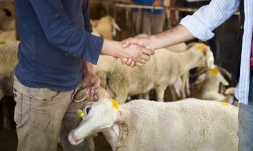 ruyada kurban gormek ne anlama gelir haberleri son dakika ruyada kurban gormek ne anlama gelir gelismeleri