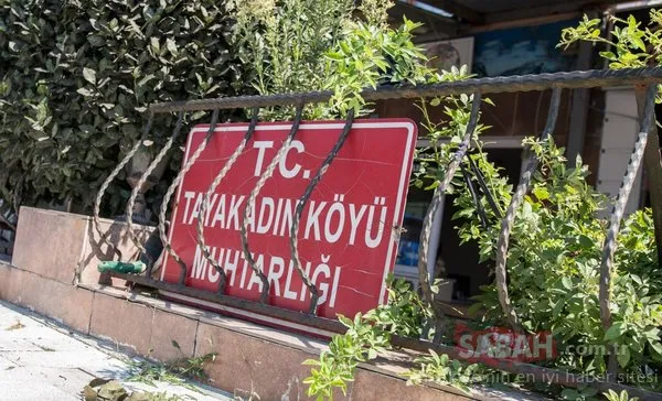 Bir başka İstanbul masalı! İşte İstanbul'daki köy yaşamı...
