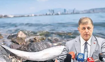 Çevre faciası, hastalıklara davetiye çıkarmaya başladı #izmir
