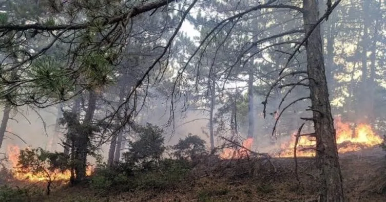 Eskişehir’de yıldırım isabet eden ormanda yangın çıktı