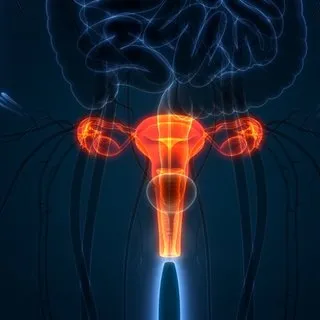 Menopoz öncesi ortaya çıkan belirtiler nelerdir? Menopoz belirtileri kaç yaşında başlar, ne kadar sürer?