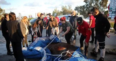 Antalya’da cip ile çarpışan atı kurtarmak için görevliler ve vatandaşlar seferber oldu #antalya
