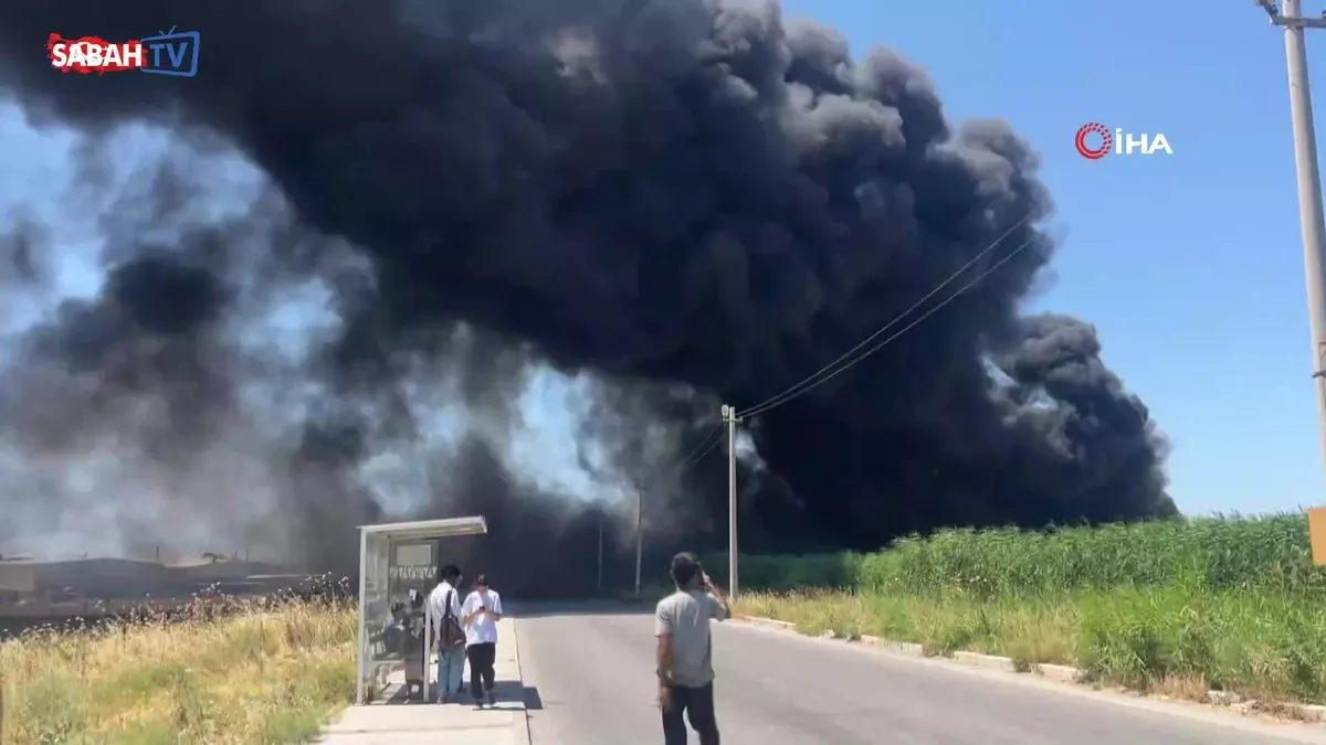 İzmir’de geri dönüşüm fabrikasında korkutan yangın: Söndürme çalışmaları devam ediyor | Video videosunu izle İzmir’de geri dönüşüm fabrikasında korkutan yangın: Söndürme çalışmaları devam ediyor | Video videosunu izle