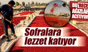 İsot reçeline yoğun talep