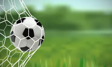 Ne vereyim ağabeyime...