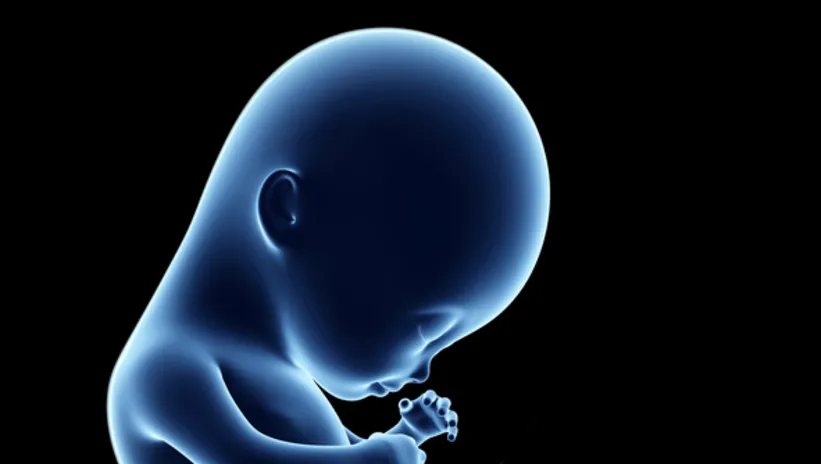 31. HAFTA HAMİLELİK BELİRTİLERİ NELERDİR?