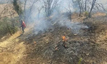 Bingöl'de orman yangını büyümeden söndürüldü #bingol