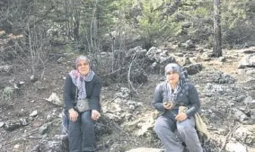 Mantarın kilosu 200 lira oldu