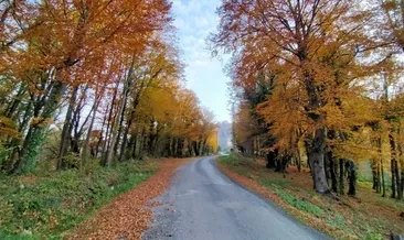 Ordu’da kartpostallık kareler