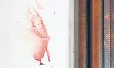 Vahşetin kanlı izi