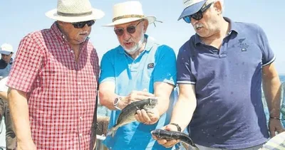 Yılda 300 bin ton midye üretilecek