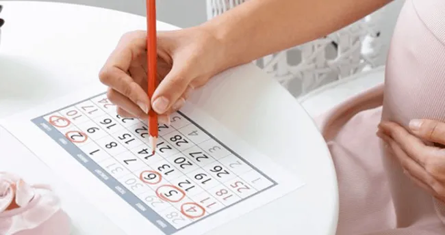 gebelik hesaplama kac haftalik hamile oldugunu hesapla saglik haberleri